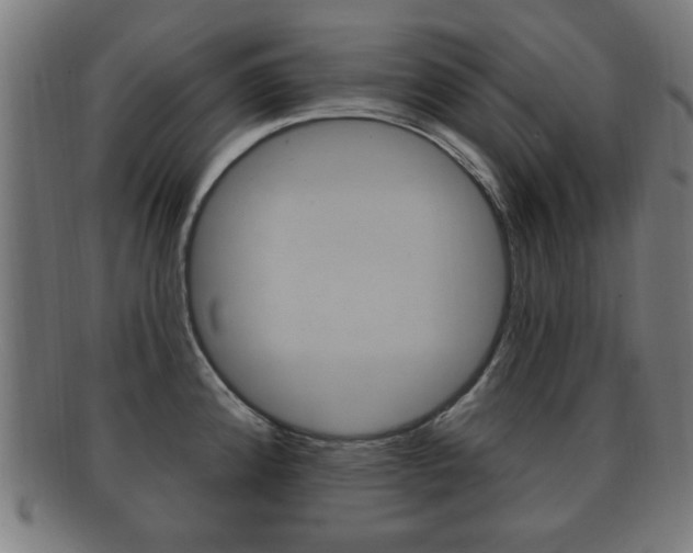 X0000091911192200709051205