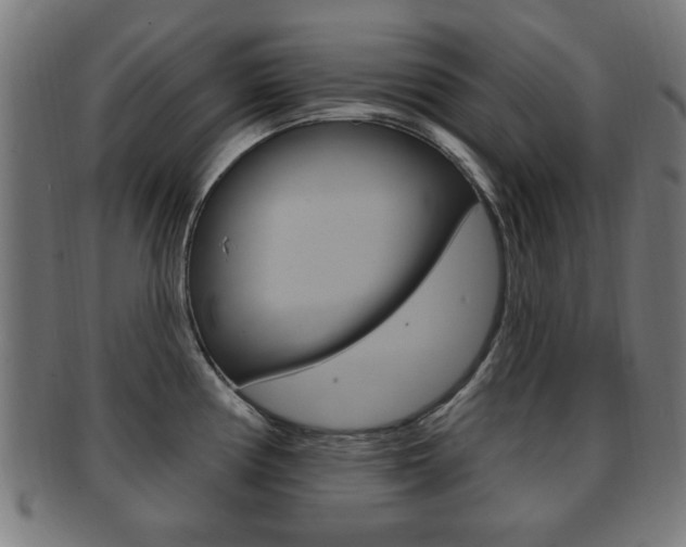 X0000091911194200709051205