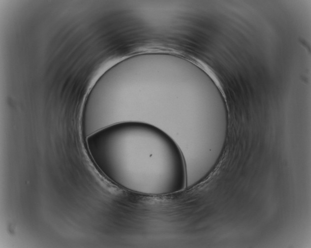 X0000091911195200709051205