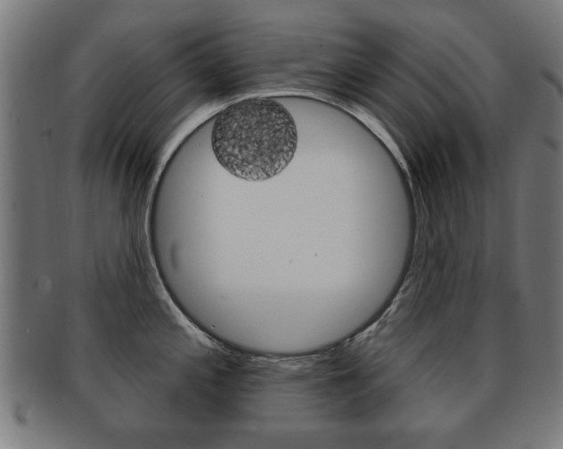 X0000091911197200709051205