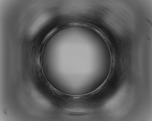 X0000091911198200709051205
