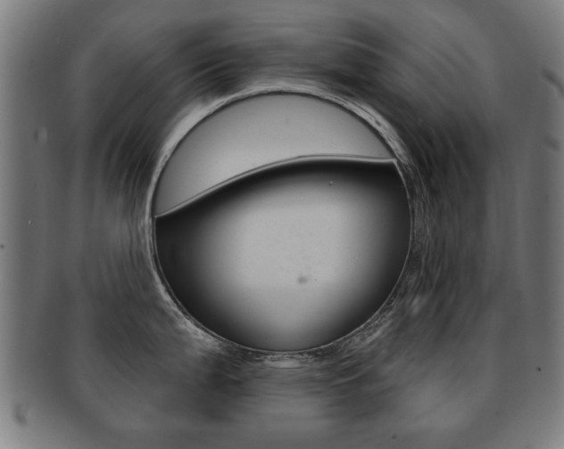 X0000091911199200709051205