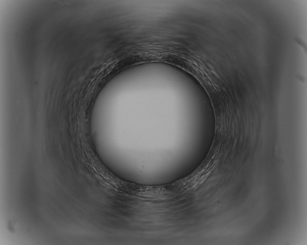 X0000091911201200709051204