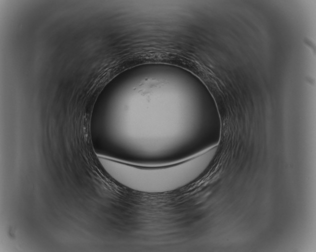 X0000091911202200709051204