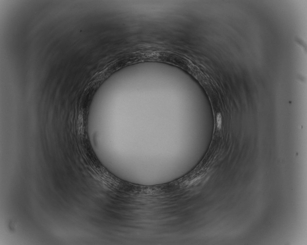 X0000091911203200709051204