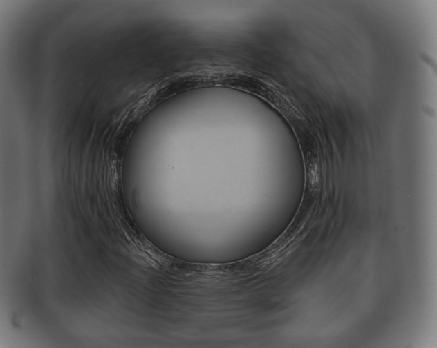 X0000091911204200709051204