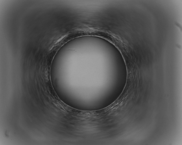 X0000091911205200709051204