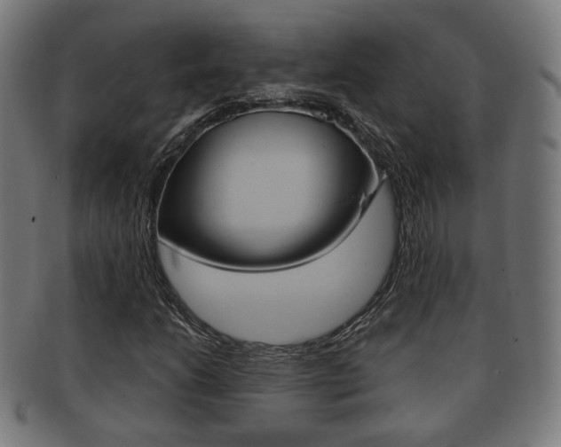 X0000091911206200709051204