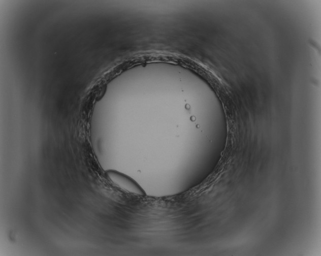 X0000091911207200709051204