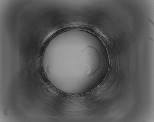X0000091911208200709051204