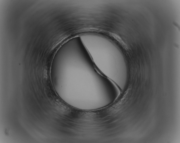 X0000091911209200709051204