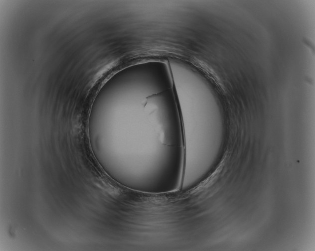 X0000091911210200709051204