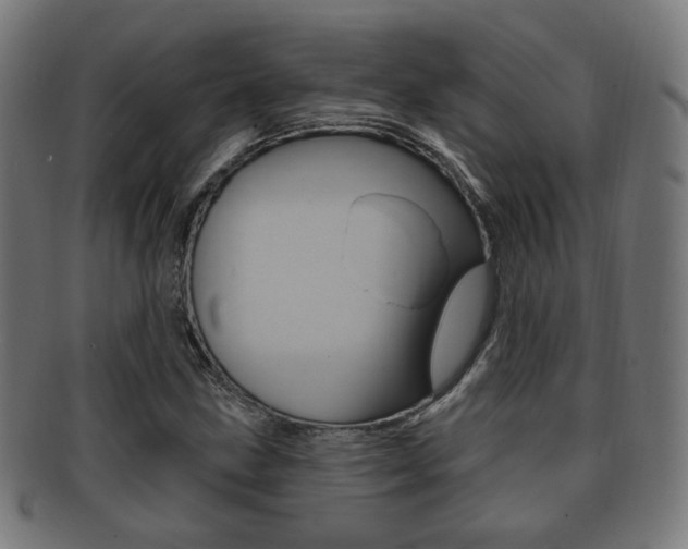 X0000091911211200709051204