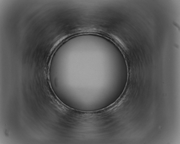 X0000091911212200709051205