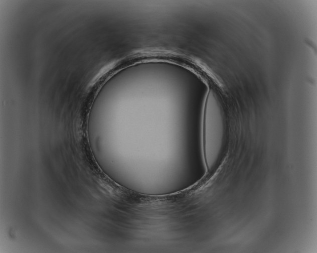 X0000091911213200709051205