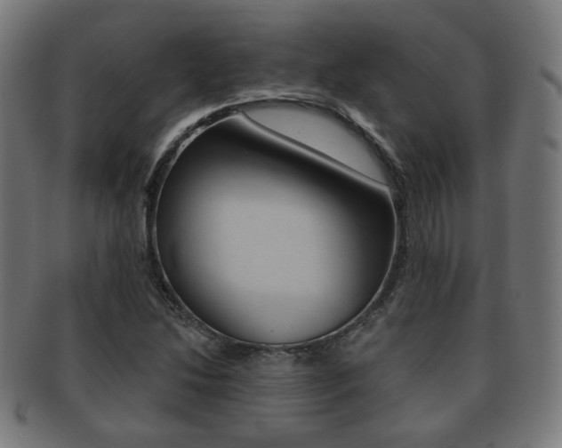 X0000091911214200709051205