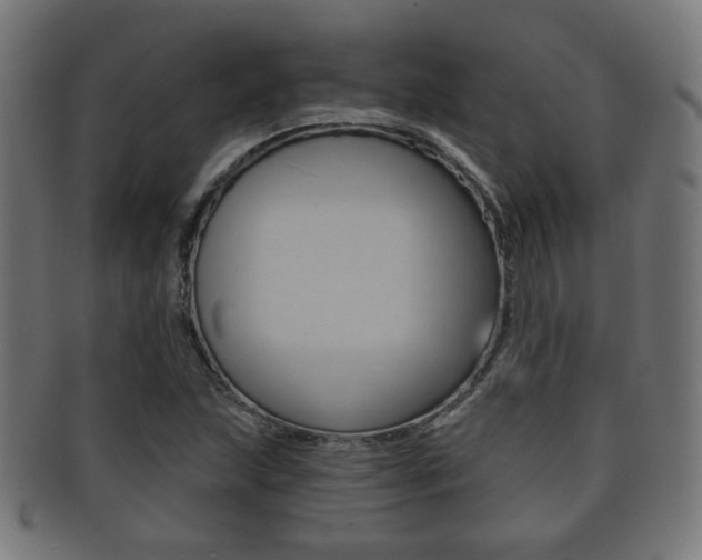 X0000091911215200709051205