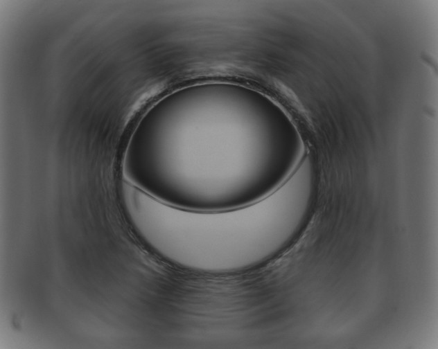 X0000091911218200709051205