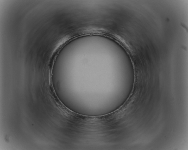 X0000091911219200709051205