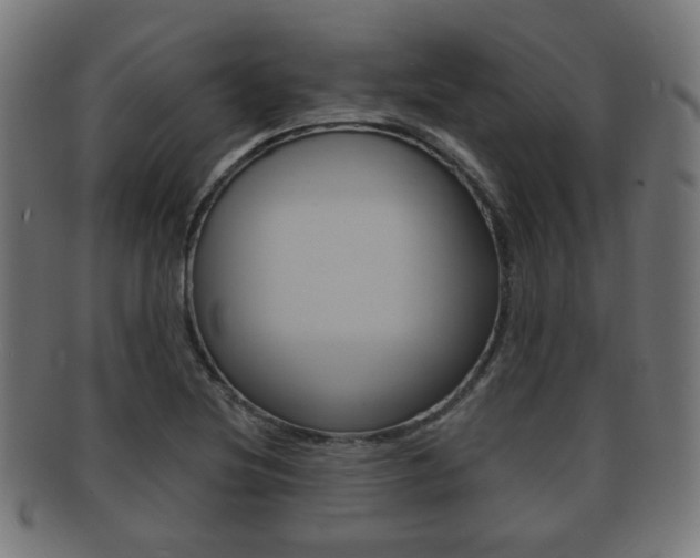 X0000091911220200709051205