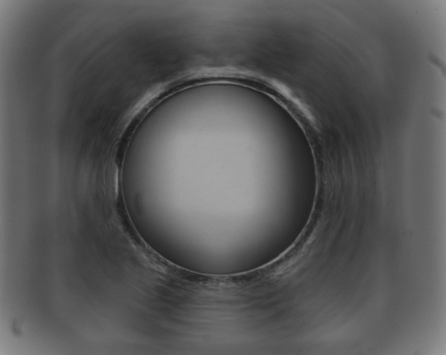 X0000091911221200709051205