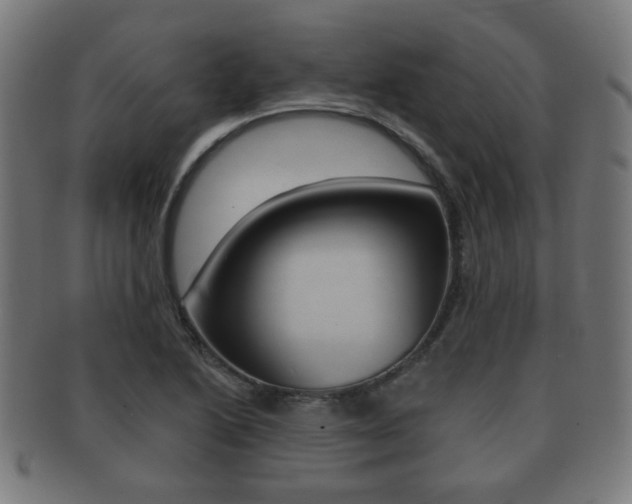 X0000091911222200709051205