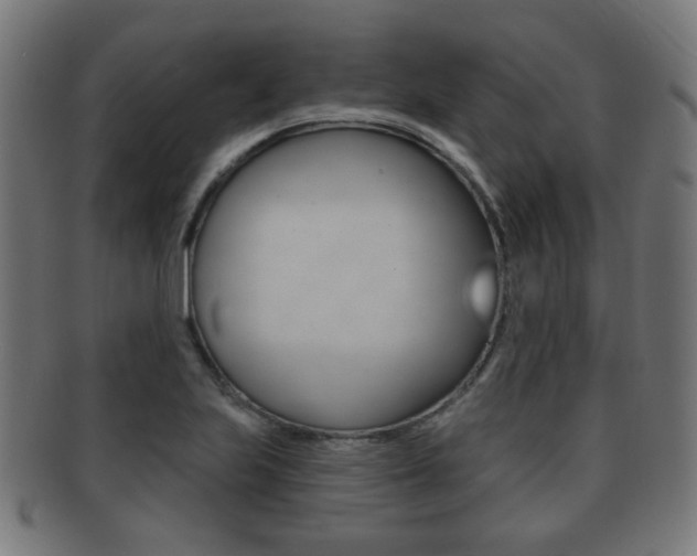 X0000091911223200709051205