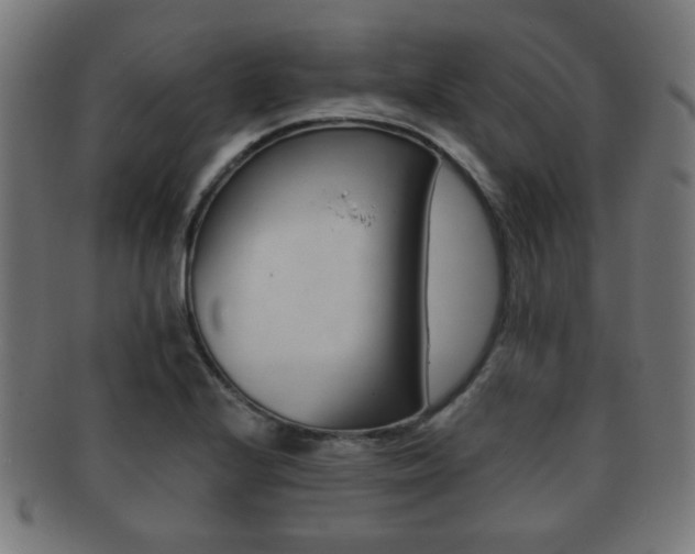 X0000091911224200709051205