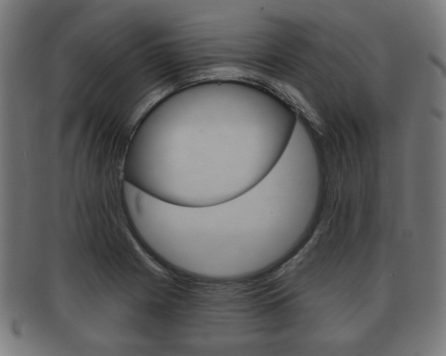 X0000091911225200709051205