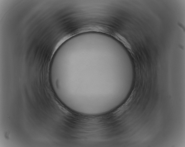 X0000091911226200709051205