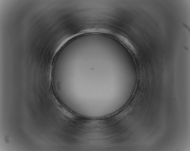X0000091911228200709051205