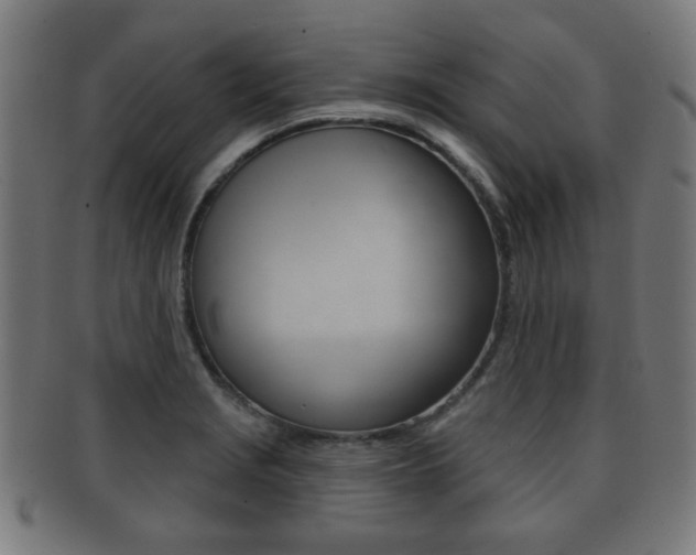 X0000091911229200709051205