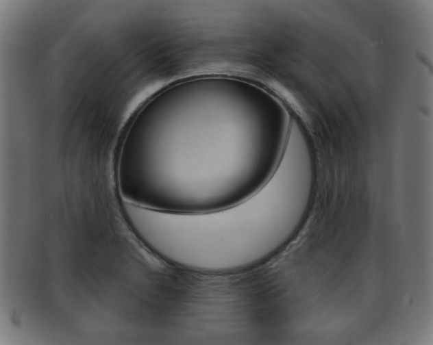 X0000091911230200709051205