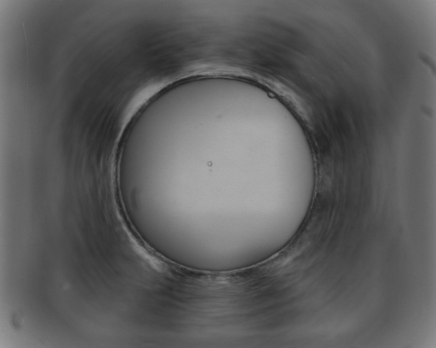 X0000091911231200709051205