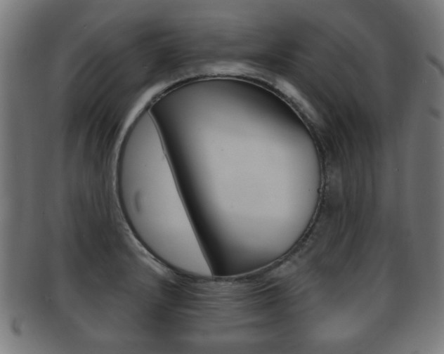 X0000091911232200709051205