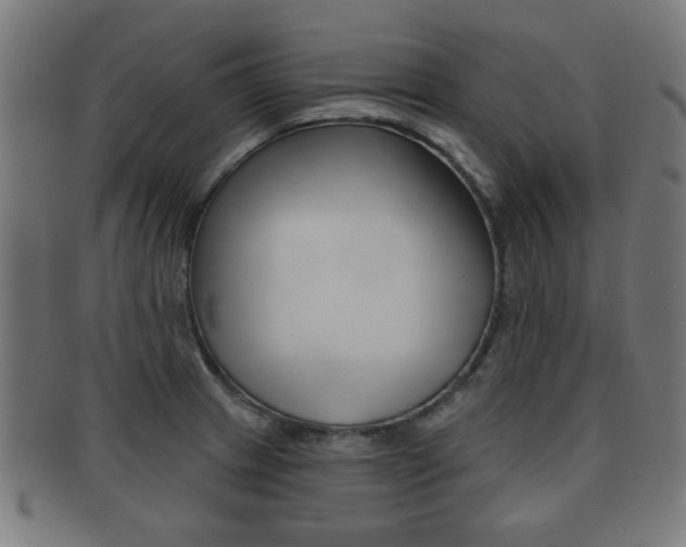 X0000091911233200709051205