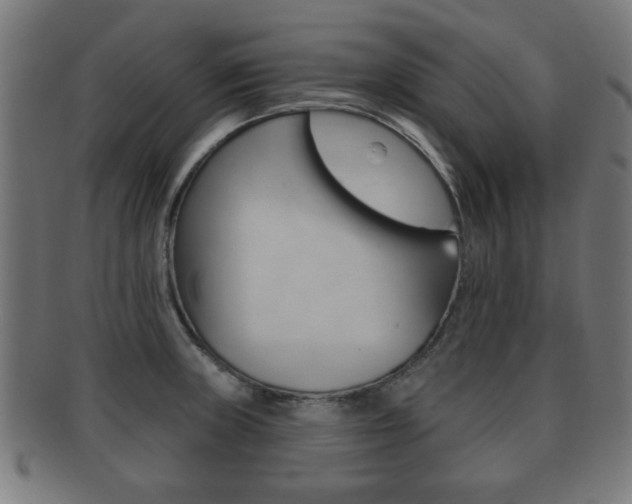 X0000091911235200709051205