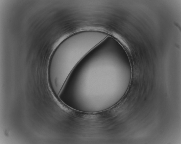 X0000091911237200709051205