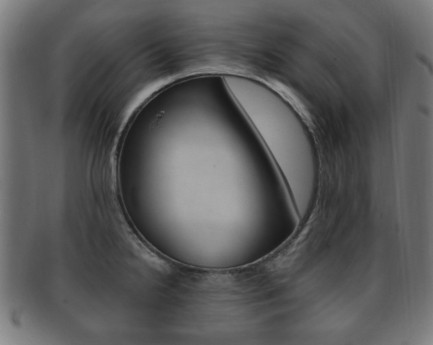 X0000091911238200709051205