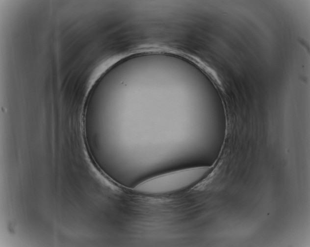 X0000091911239200709051205