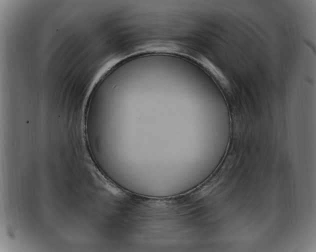 X0000091911240200709051205