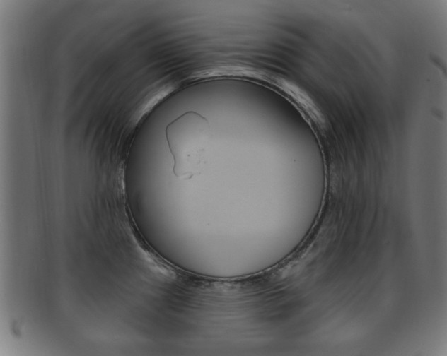 X0000091911241200709051205