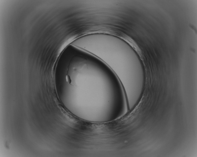 X0000091911242200709051205