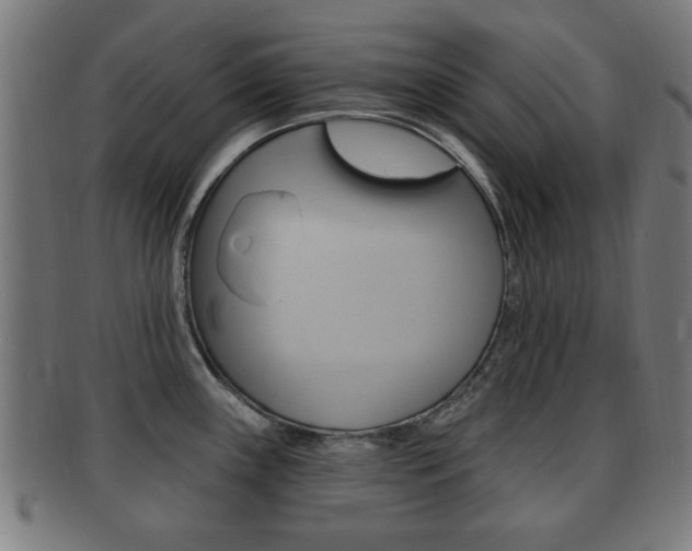 X0000091911243200709051205
