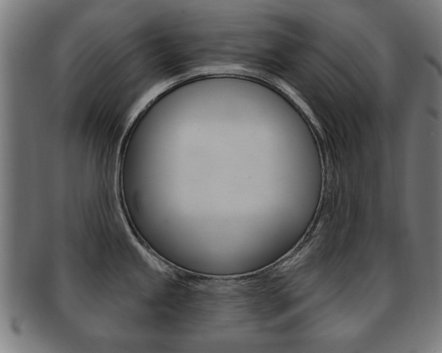 X0000091911245200709051205