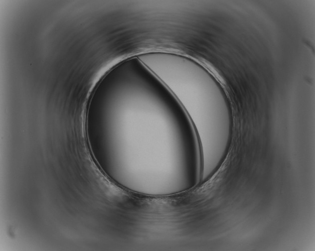 X0000091911246200709051205