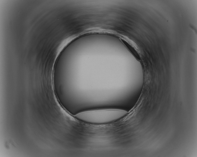 X0000091911247200709051205