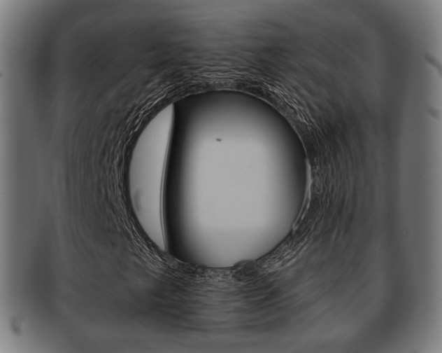 X0000091911249200709051204