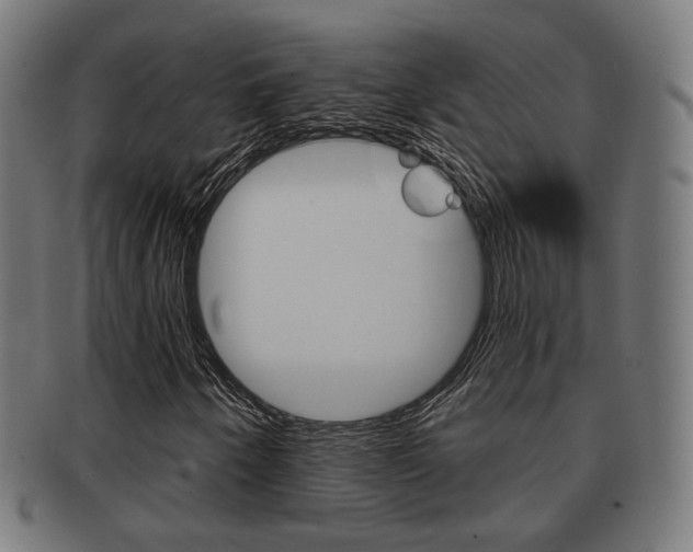 X0000091911250200709051204