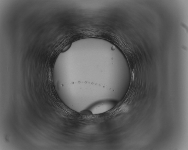 X0000091911251200709051204